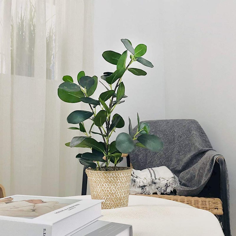 SAROSORA Artificial Ficus Tree Small Fake Plants in Weaved Pot 20" Height for Living Room Desktop Decor Indoor Home Office Ins Style (Green, 1) - Image 5